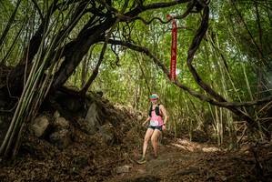 BIB: 
                            <button type="button" onclick="openModal(22178453)" class="btn btn-primary btn-sm float-right btn-popup" data-toggle="modal" data-target=".modal-high-quality">
                        <i class="fas fa-shopping-cart"></i> Add to Cart
                    </button>
                                            <button type="button" onclick="isThisMe(22178453, true)" class="btn btn-success btn-sm float-right btn-popup btn-isme hidden" data-toggle="tooltip" data-placement="bottom" title="นี่คือรูปของคุณใช่ไหม คลิกที่นี่เพื่อเอาเข้าอัลบั้ม">
                        <i class="fas fa-plus"></i> Add to album
                    </button>
                    <button type="button" onclick="isThisMe(22178453, false)" class="btn btn-warning btn-sm float-right btn-popup btn-isnotme hidden">
                        <i class="fas fa-ban"></i> Remove from album
                    </button>